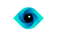 logo bvisionary